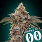 AUTO BUBBA´S GIFT - 3 Semillas Fem