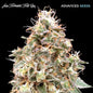 AUTO FORBIDDEN FRUIT CAKE - 3+1 Semillas Fem