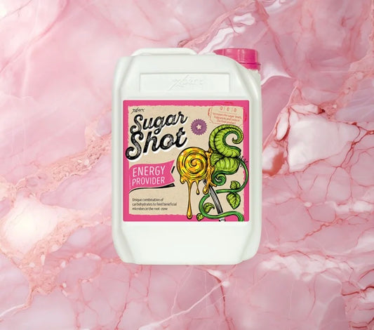 SUGAR SHOT 1L